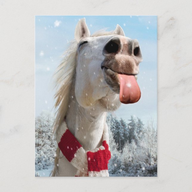 Invitation Carte Postale Éclosion de chevaux Snowflakes (Devant)