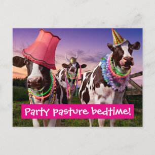 Invitation Carte Postale Faire la fête jusqu'à ce que les vaches rentrent à