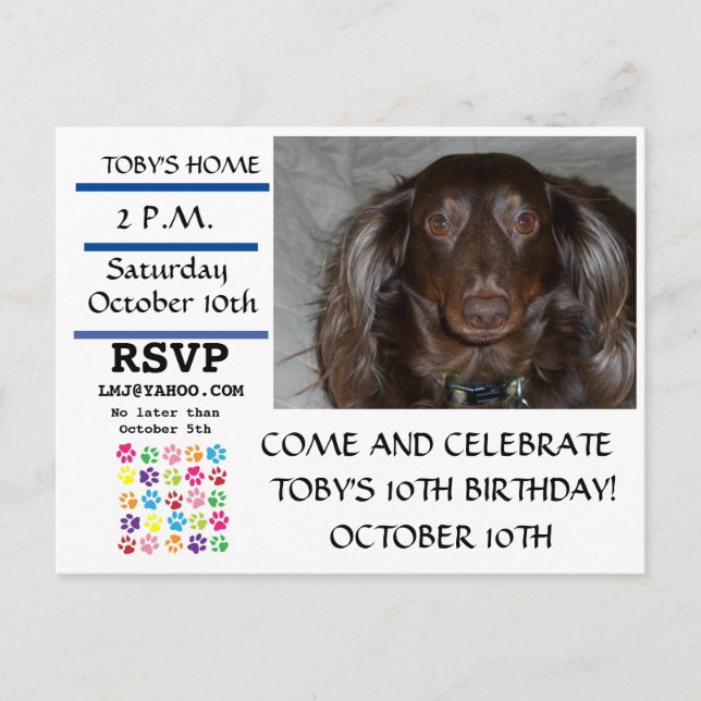 Invitation Carte Postale Fête d'anniversaire de mon chien (Devant)