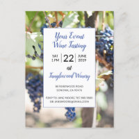 Fête de dégustation de vin pour tout événement dan