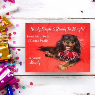 Invitation Carte Postale Fête de divorce Cavalier King Charles Spaniel