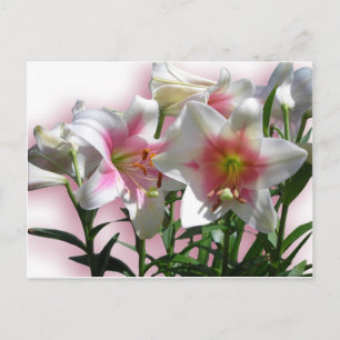 Invitation Carte Postale Fleurs Fleurs Fleurs Printemps Jardin Amour Douche