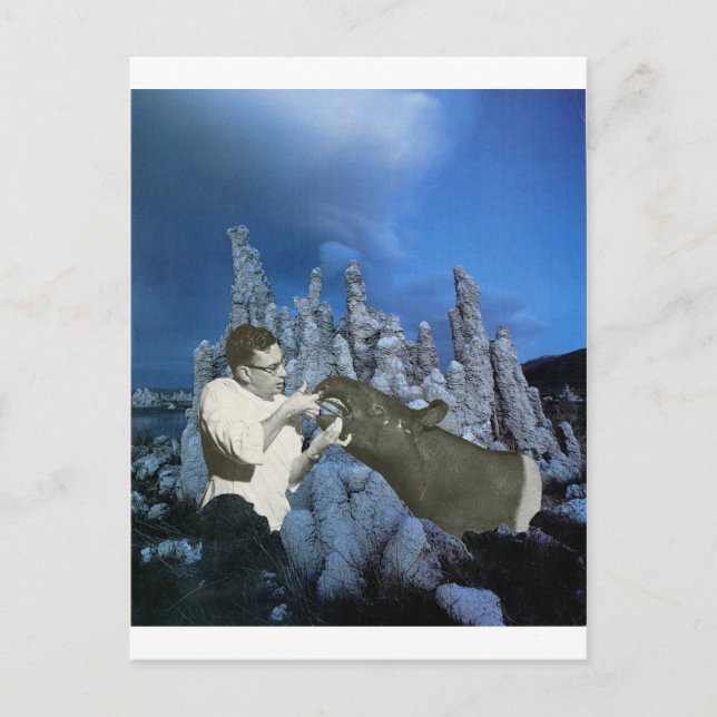 Invitation Carte Postale Floss tous les jours - (Devant)