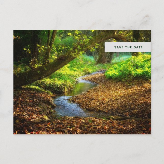 Invitation Carte Postale Forest Creek Belle nature Photo Enregistrer la dat (Devant)