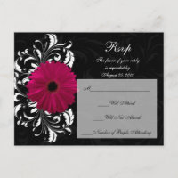 Fuchsia Scroll Gerbera Daisy avec noir et blanc