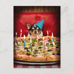 Invitation Carte Postale Gâteau de pizza d'anniversaire de Chihuahua