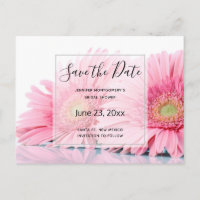 Gerbera Rose Daisies Elégante Photo Enregistrer la