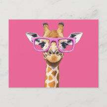 Girafe aux lunettes roses