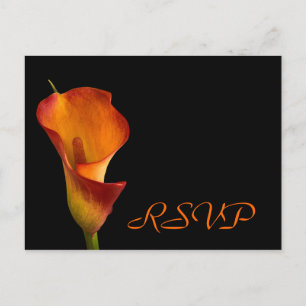 Invitation Carte Postale Insertion de RSVP
