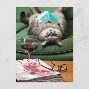 Invitation Carte Postale Livre de lecture de chats en haut