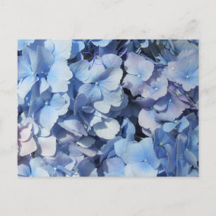 Invitation Carte Postale Mariage bleu de l'hortensia RSVP