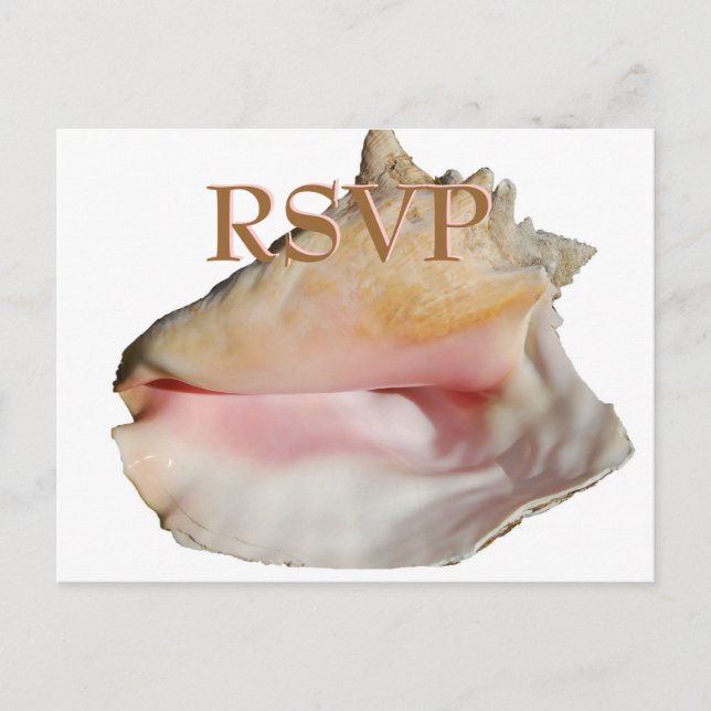 Invitation Carte Postale Mariage Invités RSVP Conch Seashell (Devant)