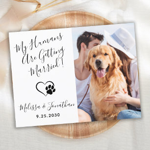 Invitation Carte Postale Mes humains se marient QR Code Chien Mariage