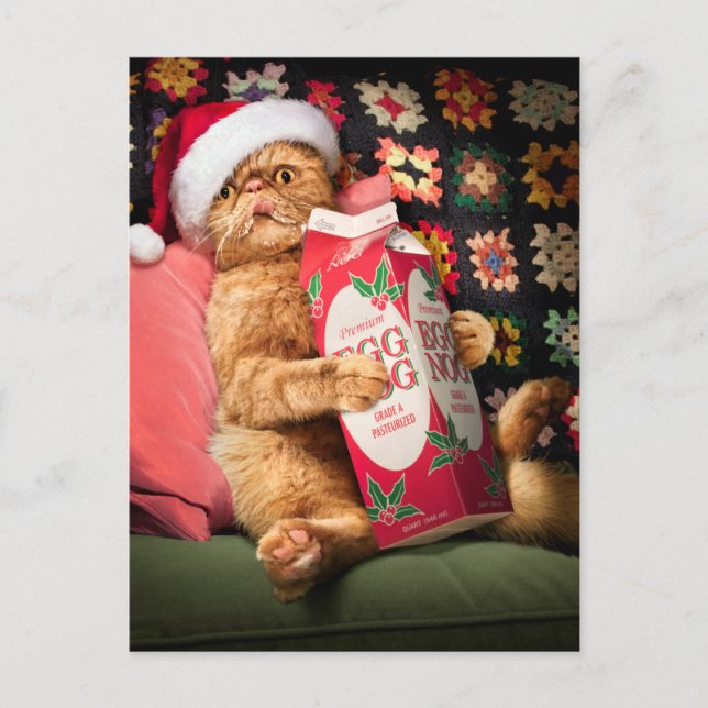 Invitation Carte Postale Nog d'oeuf de chat (Devant)