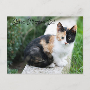 Invitation Carte Postale Opera Phantom Chat