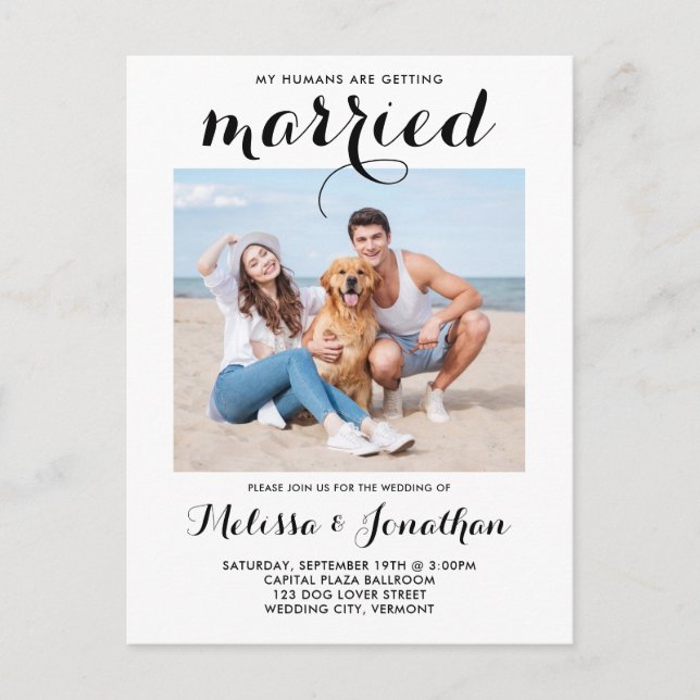 Invitation Carte Postale Photo moderne personnalisée Chien Mariage animal (Devant)
