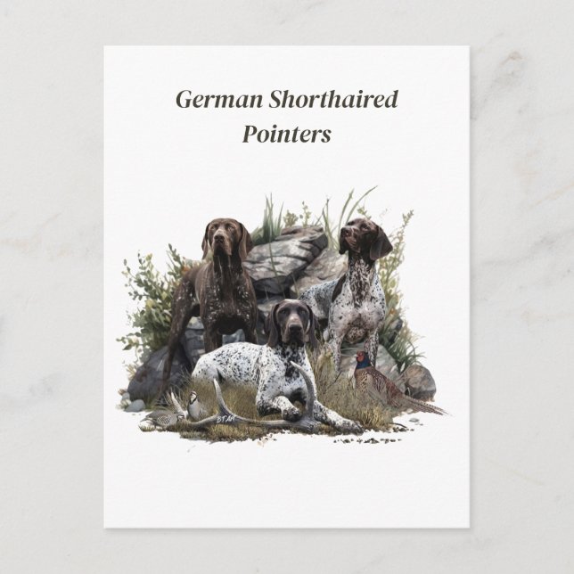 Invitation Carte Postale Pointeur à cheveux courts allemand ou Deutsch Kurz (Devant)