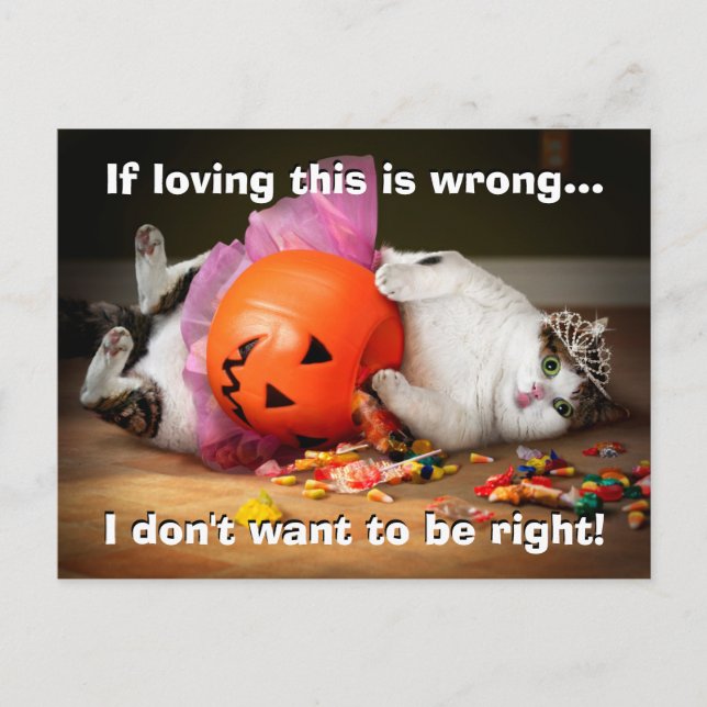 Invitation Carte Postale Princesse Chat avec seau à bonbons (Devant)