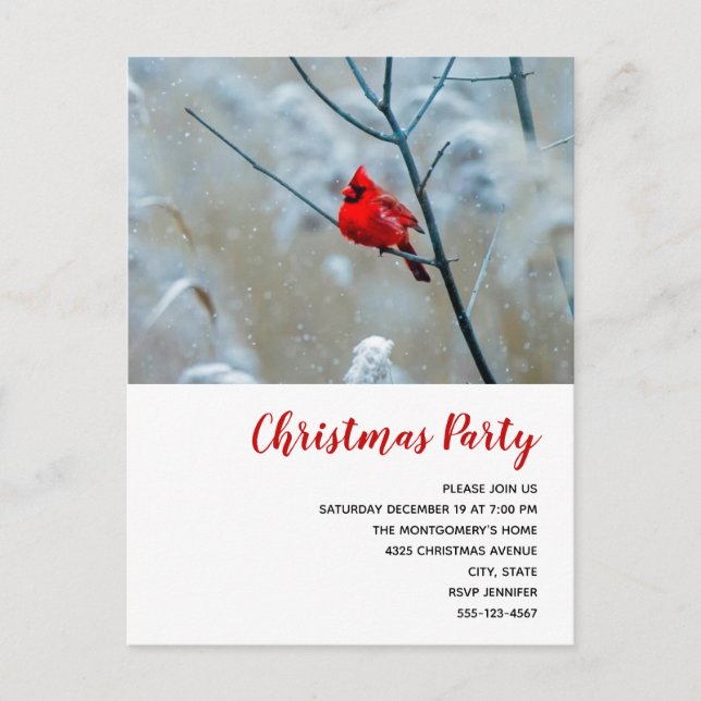 Invitation Carte Postale Red Cardinal dans Winter Nature Photo de Christmas (Devant)