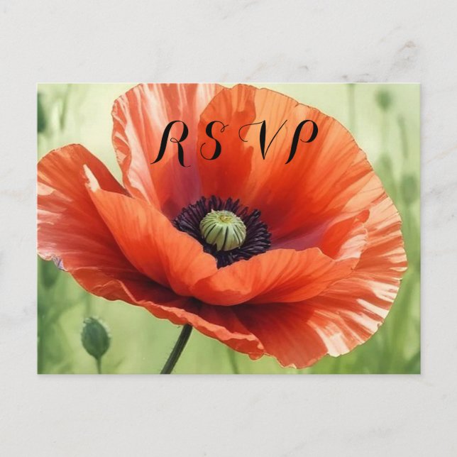 Invitation Carte Postale Red Poppy RSVP Postcard (Devant)