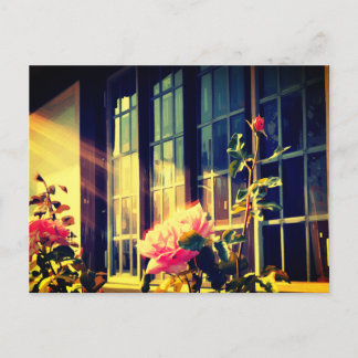 Invitation Carte Postale Rose anglaise
