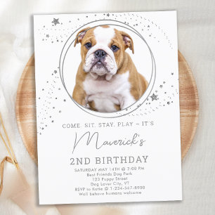 Invitation Carte Postale Silver Stars Chien Anniversaire Personnalisé Anima