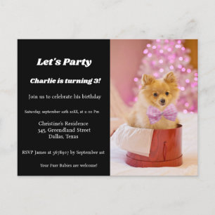 Invitation Carte Postale Soirée d'anniversaire minimaliste de chiots de scr