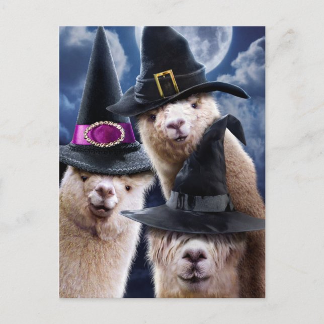 Invitation Carte Postale Sorcières d'Alpaca (Devant)