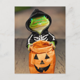 Invitation Carte Postale Squelette de Gecko