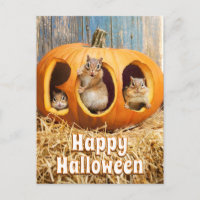 Tamias à l'intérieur de Boo Jack-o-Lantern