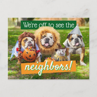 Invitation Carte Postale Three Bulldogs in Costumes