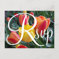 Tulipes rouges et jaunes Photo RSVP contemporaine
