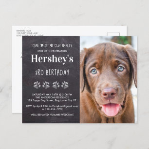 Invitation Carte Postale Venez rester jouer Chien Chien Chien Chien Personn