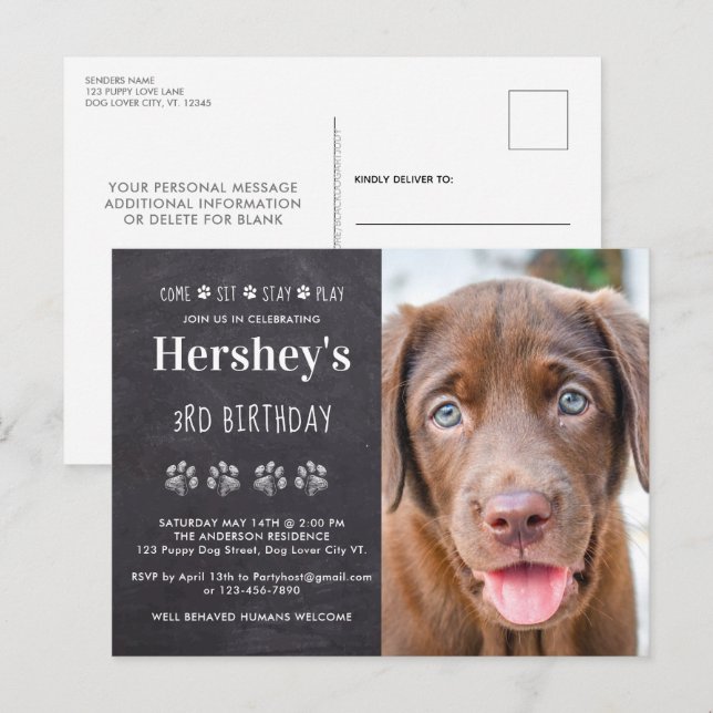 Invitation Carte Postale Venez rester jouer Chien Chien Chien Chien Personn (Devant / Derrière)