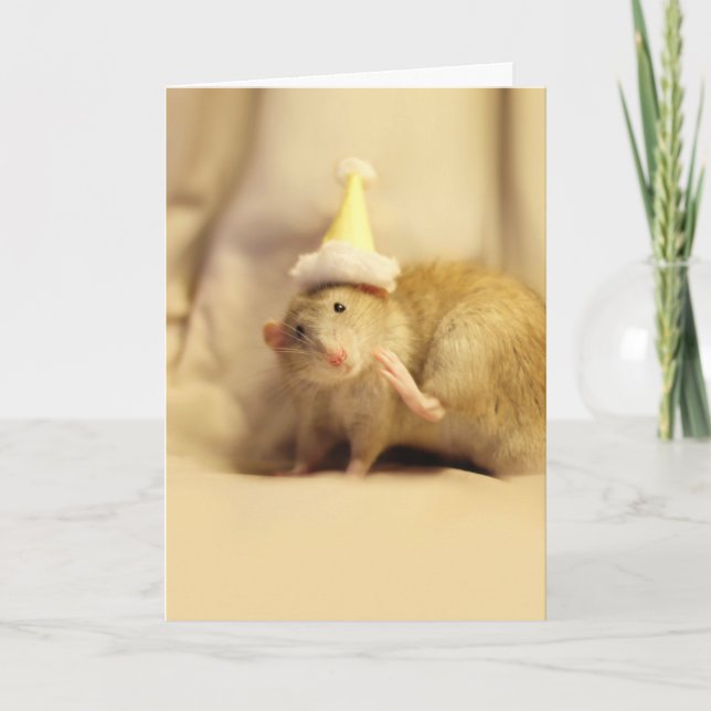 Invitation Casquette de fête Mouse mignonne Anniversaire (Devant)