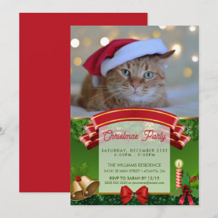 Invitation Cat and Christmas lights
