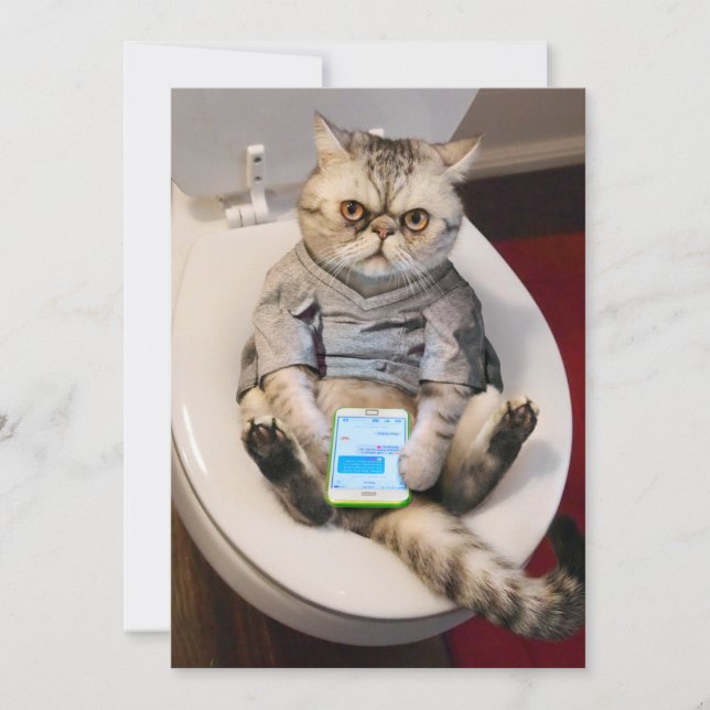 Invitation Cat on Toilet (Devant)