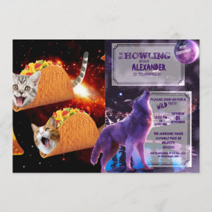 Invitation Cats inside space tacos
