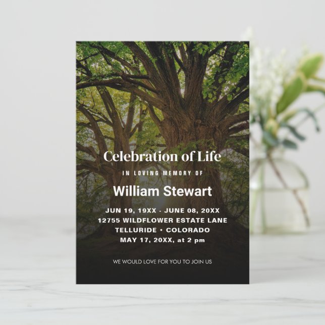 Invitation Célébration de la vie | Arbres funéraires modernes (Debout devant)