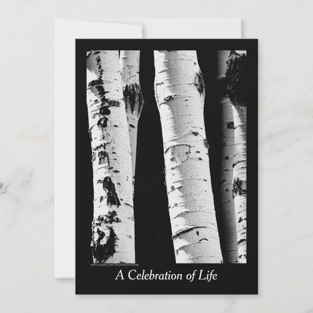 Invitation Célébration de la vie, Aspen Trees Noir et Blanc (Devant)
