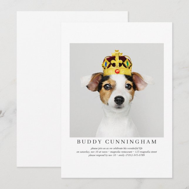 Invitation Célébration de la vie Simple Elegant Pet Photo (Devant / Derrière)