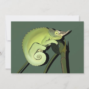 Invitation Chameleon de Jackson