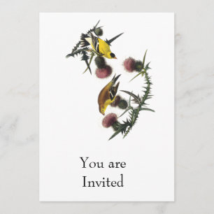 Invitation Chardonneret d'Américain d'Audubon