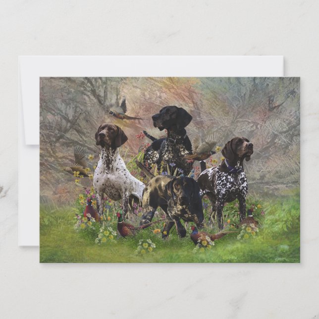 Invitation Chasse faisan avec GSP (Devant)