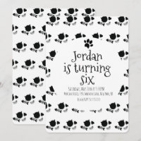 Chat Chaton Animal Patte Noir Blanc Anniversaire F