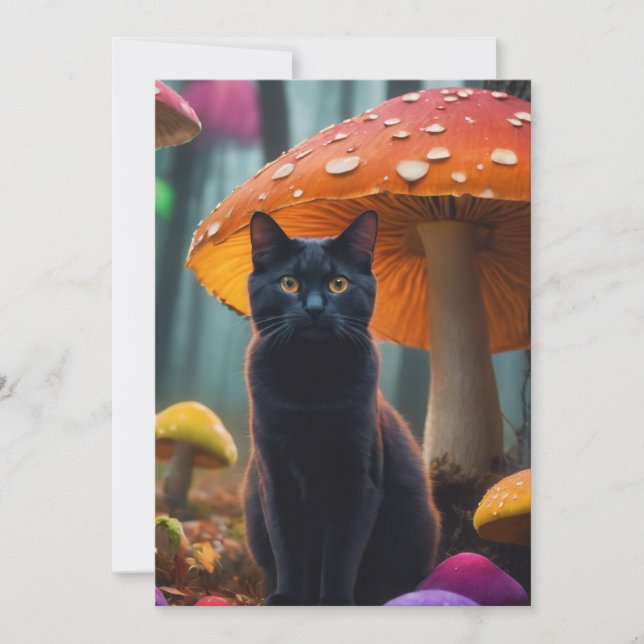 Invitation chat dans les MUSHROOM (Devant)