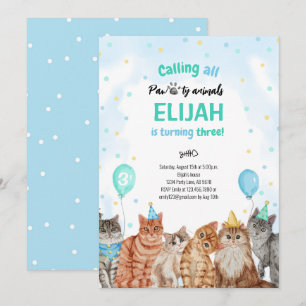 Invitation Chat Pawty Animaux Garçon Anniversaire
