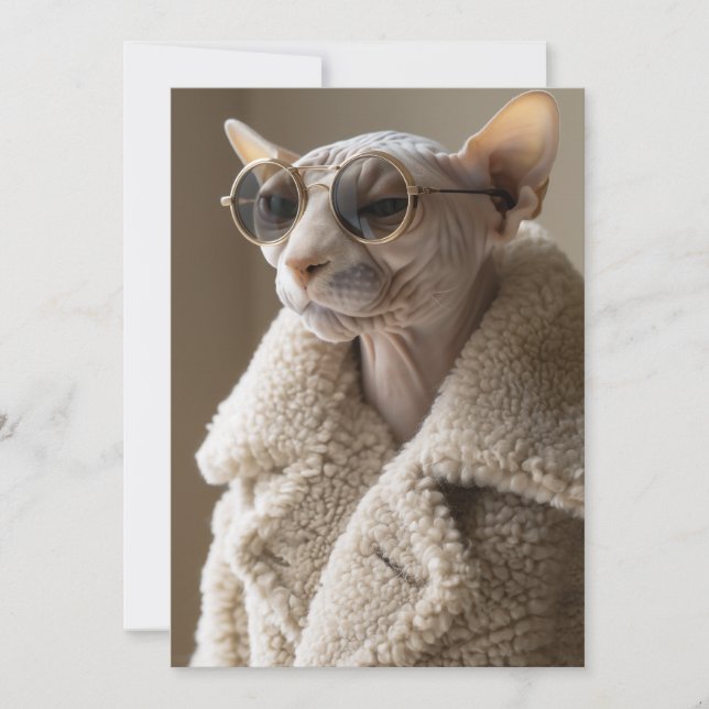 Invitation Chat Sphynx élégant en lunettes de soleil et mante (Devant)
