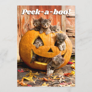 Invitation Chatons dans une lanterne en citrouille