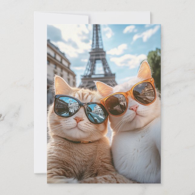 Invitation Chats cool à Paris (Devant)